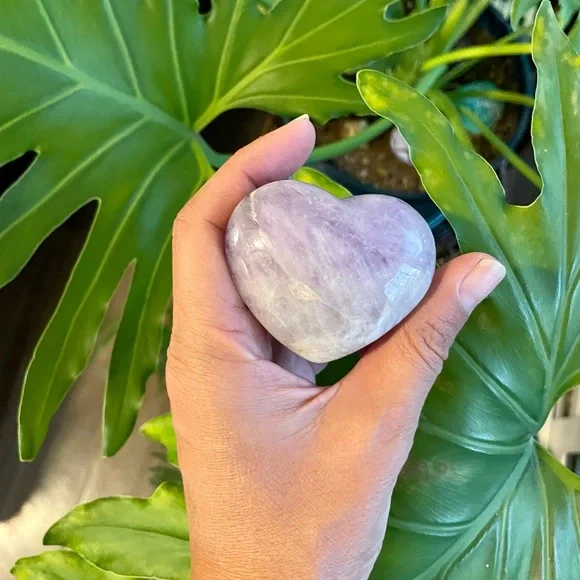 The Gift of Prosperity - Picture 5 of 9